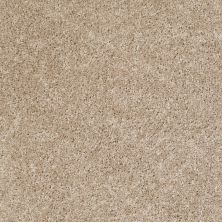 Shaw Floors Meritage Homes Fancy Free Gallery 00103_135MR