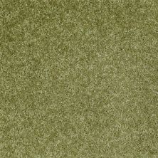 Shaw Floors Meritage Homes Fancy Free Spring Valley 00300_135MR