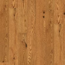 Shaw Floors Carpets Plus Hardwood Destination Timeless Classic 5″ Honey 02080_CH926