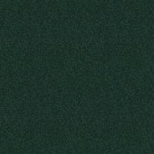 Shaw Floors Queen Patcraft Crusader Tropic Ivy 08769_14056