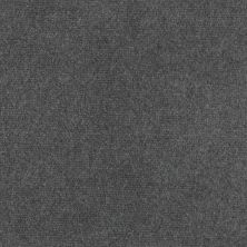 Philadelphia Commercial Excalibur 12′ Charcoal 0CHAR_140MC