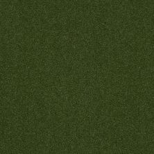 Shaw Grass All Seasons I Uni Green 00300_152SG