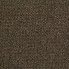 Shaw Floors Crosspoint Passages II Tile Suede 00772_153CR