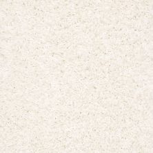 Anderson Tuftex Shaw Design Center Exhilaration Sea Pearl 00111_169SD
