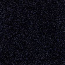 Anderson Tuftex Shaw Design Center Exhilaration Midnight 00449_169SD