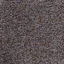 Anderson Tuftex Shaw Design Center Exhilaration Metallic 00554_169SD