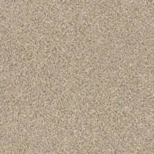 Anderson Tuftex Pet Perfect Best Friend Sand Dune 00223_16SSF