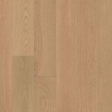 Anderson Tuftex Anderson Hardwood Carpentry Oak Terrain 11108_AA854