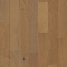 Shaw Floors Shaw Hardwoods Empire Oak Plank Hearst 02012_SW583