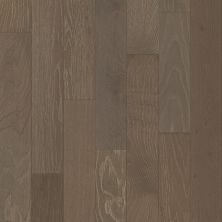 Shaw Floors Shaw Hardwoods Empire Oak Plank Ashlee Grey 05052_SW583