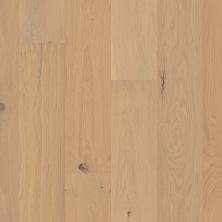 Shaw Floors Shaw Hardwoods Ensemble Champagne 01045_SW768