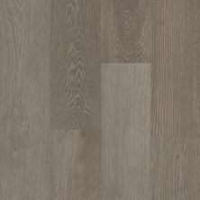 Shaw Floors Shaw Hardwoods Ensemble Chateau 05056_SW768