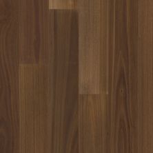 Anderson Tuftex Anderson Hardwood Valencia Walnut Raw Umber 17068_AA861