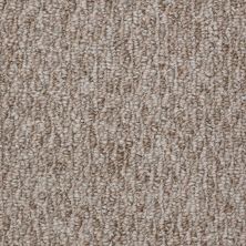 Shaw Floors Budget Berber (sutton) Dania 12 Tree Bark 86750_18286