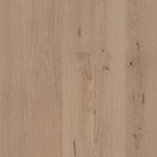 Shaw Floors Shaw Hardwoods Utmost Purpose 11061_SW753