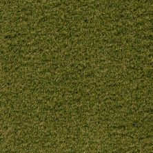Shaw Grass Fresh Rye Natural Green 00300_184SG