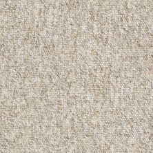 Shaw Floors Newmarketplac12 LEVEL LOOP Raffia 56201_18656