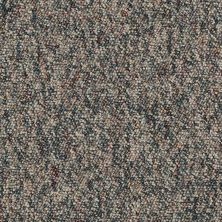 Shaw Floors Newmarketplac12 LEVEL LOOP Topiary 56743_18656