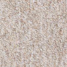 Shaw Floors Newmarketplac15 LEVEL LOOP Raffia 56201_18657