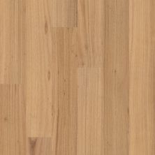 Shaw Floors Shaw Hardwoods Bridgewater Eucalyptus Sundrift 01177_SW790