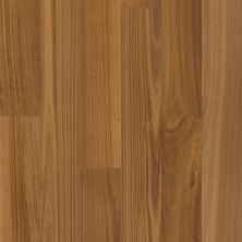 Shaw Floors Shaw Hardwoods Bridgewater Eucalyptus Riverbend 07142_SW790