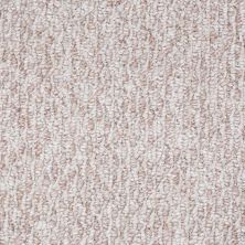 Shaw Floors Shaw Floor Studio Good Tidings 12′ Beach Pebble 00113_19481
