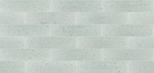 Shaw Floors Ceramic Solutions Geoscapes Brick Bone 00150_194TS