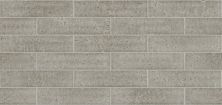 Shaw Floors Ceramic Solutions Geoscapes Brick Taupe 00250_194TS