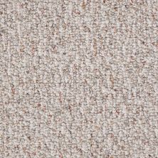 Shaw Floors St. Carlton 15 Glazed Pecan 00700_19588