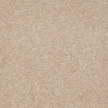 Shaw Floors Couture’ Collection Ultimate Expression 12′ Adobe 00108_19698