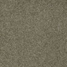 Shaw Floors Ultimate Expression 12′ Alpine Fern 00305_19698