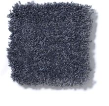 Shaw Floors Couture’ Collection Ultimate Expression 12′ Cadet 19698_00401