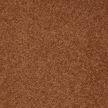 Shaw Floors Couture’ Collection Ultimate Expression 12′ Dark Amber 00602_19698