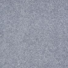 Shaw Floors Anso Premier Dealer Dividing Line 12 Blue Suede 00400_19702