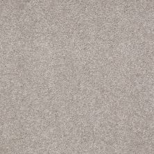 Shaw Floors Anso Premier Dealer Dividing Line 12 London Fog 00501_19702
