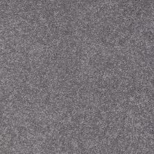 Shaw Floors Anso Premier Dealer Dividing Line 12 Slate 00502_19702