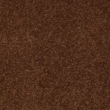 Shaw Floors Apd/Sdc Fabulux 12′ Tortoise Shell 00707_19703