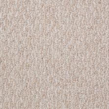 Shaw Floors Durango 12′ Cameo 00101_19815