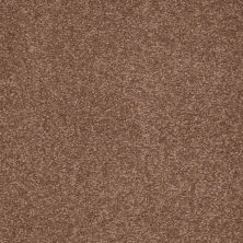 Shaw Floors Couture’ Collection Ultimate Expression 15′ Tuscany 00204_19829