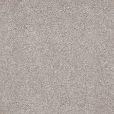 Shaw Floors Couture’ Collection Ultimate Expression 15′ London Fog 00501_19829
