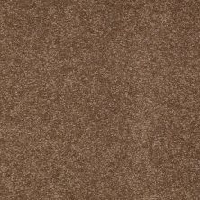 Shaw Floors Couture’ Collection Ultimate Expression 15′ Pine Cone 00703_19829