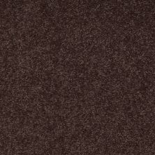 Shaw Floors Couture’ Collection Ultimate Expression 15′ Tundra 00708_19829