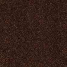 Shaw Floors Couture’ Collection Ultimate Expression 15′ Coffee Bean 00711_19829
