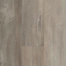 Shaw Floors Resilient Residential Heroic HD Plus Salvaged Pine 00554_1CV03