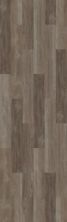 Shaw Floors Resilient Residential Heroic HD Plus Antique Pine 05006_1CV03