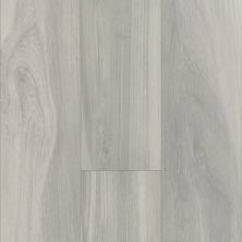 Shaw Floors Resilient Residential Heroic HD Plus Frosted Oak CC407_1CV03