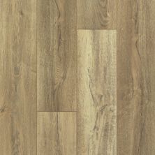 Resilient Residential Pantheon HD Plus Shaw Floors  Foresta 00282_2001V