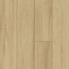 Resilient Residential Pantheon HD Plus Shaw Floors  Como 00299_2001V
