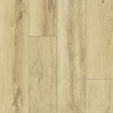 Shaw Floors Resilient Residential Paragon XL HD Plus Classic Oak 00253_2033V