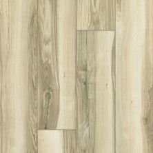Resilient Residential Paragon XL HD Plus Shaw Floors  Natural Butternut 00259_2033V